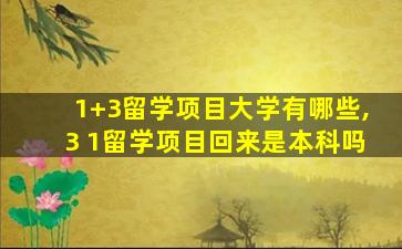 1+3留学项目大学有哪些,3 1留学项目回来是本科吗